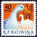 ROMANIA - CIRCA 1963: A stamp printed in Romania from the \