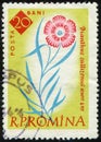 ROMANIA - CIRCA 1961: stamp shows flowering plant Piatra Craiului Pink (Dianthus callizonus