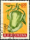 ROMANIA - CIRCA 1963: Paprika (Capsicum annuum), bell pepper or sweet pepper