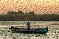 ROMANIA, DANUBE DELTA, AUGUST 2019: Morning in the Danube Delta with fisherman checking nets and birds in the background Royalty Free Stock Photo