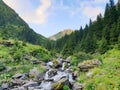 Romania, Fagaras Mountains, Caltun Valley.