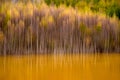 Romania landscape in autumn time in the Carpathian mountains , Transylvania nature and wild forest Royalty Free Stock Photo