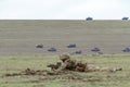 ROMANIA-NATO-ARMY-EXERCISE