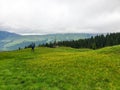 Romania, Parang Mountains, Huluzu Saddle
