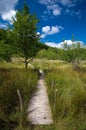 Romania - Pesteana marsh (Bottomless Lake)