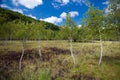 Romania - Pesteana marsh (Bottomless Lake)