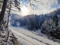 Romania, Postavaru Mountains, winter landscape. Royalty Free Stock Photo