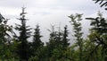 Romania, Rodnei Mountains, summer landscape.