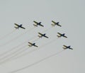 Romanian Aerobatic TeamHawks of Romania show at BIAS 2016