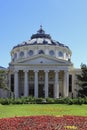 The Romanian Athenaeum in Bucahrest,Romania Royalty Free Stock Photo