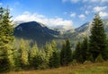 Romanian Carpathi, Retezat mountains Royalty Free Stock Photo