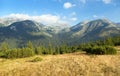 Romanian Carpathia, Retezat mountains, Romania Royalty Free Stock Photo