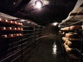 Romanian cheese Nasal on metal shelves in the grotto