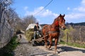 Farmer with horse and carriage hay in Romania Royalty Free Stock Photo