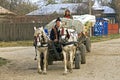 Romanian farmers on road with horse and carriage