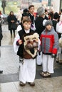 Romanian festival in traditional costume