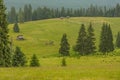 Romanian hillside and village in summer time Royalty Free Stock Photo