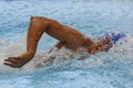 Romanian International Swimming Championships