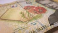 200 Romanian Lei diagonal closeup Royalty Free Stock Photo