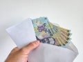Romanian Lei 100 RON bank notes in an envelope Royalty Free Stock Photo