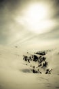 Romanian Mountain winter landscape Royalty Free Stock Photo