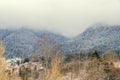 Romanian mountains range with pine forest and fog, winter time