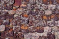 Romanian old roof tiles texture with lichens due to humid climate Royalty Free Stock Photo