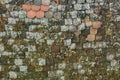 Romanian old roof tiles texture with lichens due to humid climate Royalty Free Stock Photo