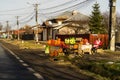 Romanian peasants selling vegetables and fruits on the road in Targoviste, Romania, 2021