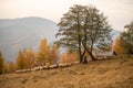 Romanian shepherd in country side of Carpathian mountains