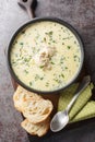 Romanian Sour Cream Garlic Chicken Soup Radauteana closeup on the plate on the table. Vertical top view Royalty Free Stock Photo