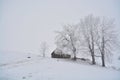 Romanian traditional barn located behind some trees full of snow in fall season