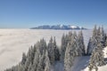 Romanian winter landscape - Bucegi Mountains Royalty Free Stock Photo