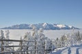 Romanian winter landscape - Bucegi Mountains Royalty Free Stock Photo