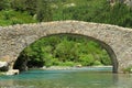 Romanic bridge of Bujaruelo in the region of AragÃÂ³n in Spain. Royalty Free Stock Photo