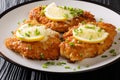 Romano chicken cutlet breaded with lemon and green onion close-up on a plate. horizontal Royalty Free Stock Photo