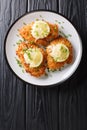 Romano chicken cutlet breaded with lemon and green onion close-up on a plate. Vertical top view Royalty Free Stock Photo