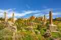 Romans ruins Tyre Sur South Lebanon Royalty Free Stock Photo