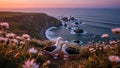 Romantic Albatross Pair on Cliffside Meadow Overlooking Ocean at Sunset Royalty Free Stock Photo