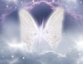 Romantic angel wings with stars and galaxy