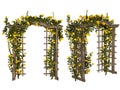 Romantic arbor with yellow roses