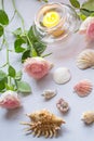 Romantic arrangement with a candle, roses ans seashells Royalty Free Stock Photo