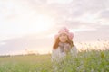 Romantic Asian beautiful girl walking in a field in sunset light. Winter, autumn life Royalty Free Stock Photo