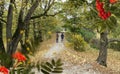 Romantic  couple awlk in park , autumn rain in city yellow leaves and tree on horizon nature landscape Royalty Free Stock Photo