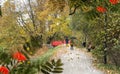 Romantic  couple awlk in park , autumn rain in city yellow leaves and tree on horizon nature landscape Royalty Free Stock Photo