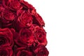 Romantic background of a bouquet of red on a white background.