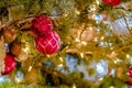 Romantic balls and mellow lights on Christmas tree Royalty Free Stock Photo