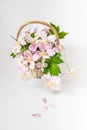 A romantic basket of white and pink clematis flowers with green Royalty Free Stock Photo