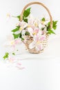 A romantic basket of white and pink clematis flowers with green Royalty Free Stock Photo