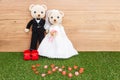 Romantic Bear Royalty Free Stock Photo